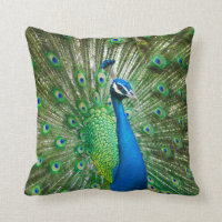 Coussin beau paon mâle
