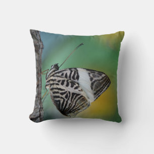 Coussin Beau Papillon Zèbre Mosaïque