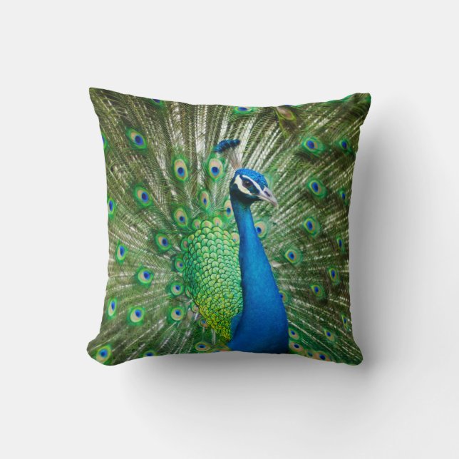 Coussin Beau Peacock Homme Cushion (Recto)
