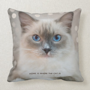 Coussin Beau Ragdoll Chat et Texte modifiable