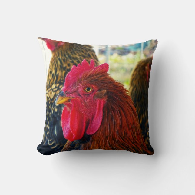 Coussin Beau Rooster (Recto)
