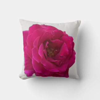 Coussin Beau Rose rose chaud vibrant en pleine floraison
