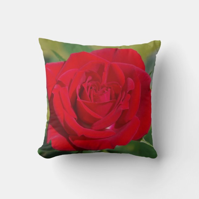 Coussin Beauté de rose rouge (Recto)