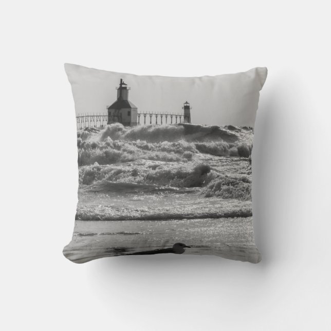 Coussin Beauté Et Niveaux De Gris Force (Recto)