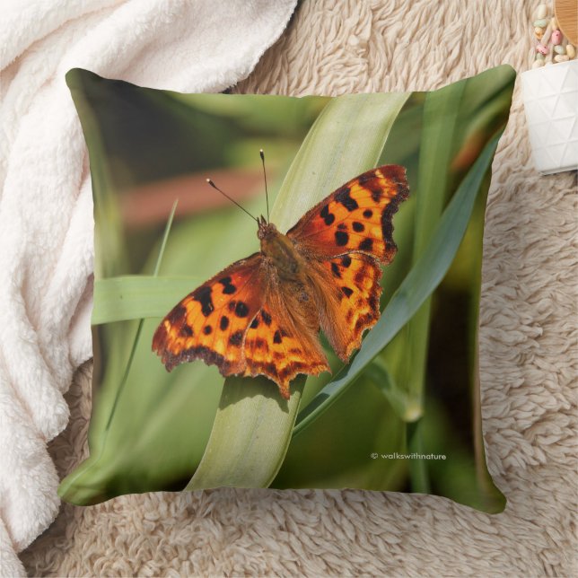 Coussin Beautiful Orange Satyr Comma Butterfly (Couverture)