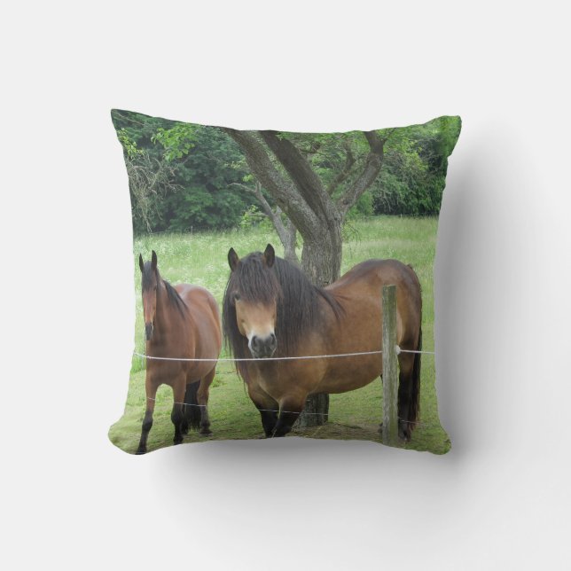 Coussin Beaux Chevaux (Recto)