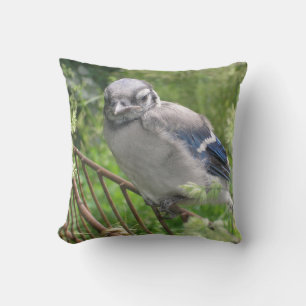 Coussin Bébé bleu Jay