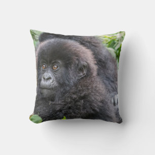 Coussin Bébé gorille des montagnes
