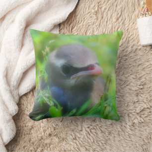 Coussin Bébé mignon Cèdre cire Oiseau 