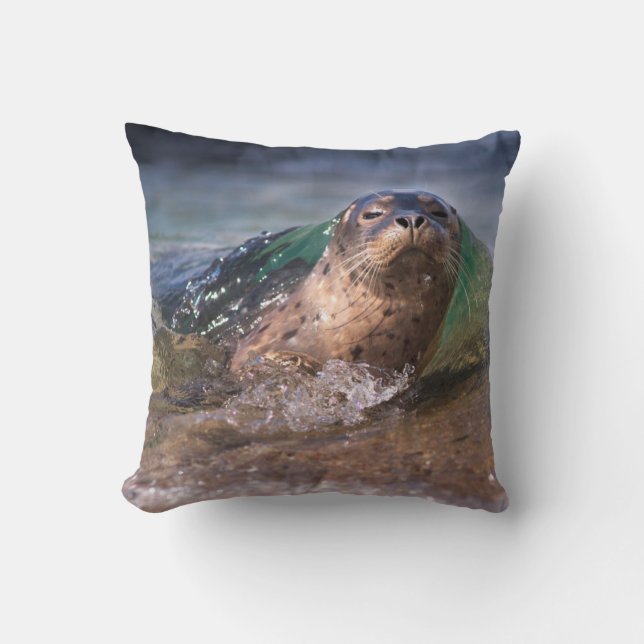 Coussin Bébé phoque commun (Recto)