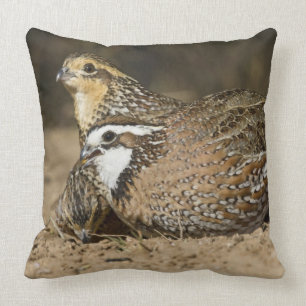 Coussin Bébés de caille nordique Bobwhite à l'étang pour b