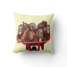 Bébés rouges d'orang-outan de brouette