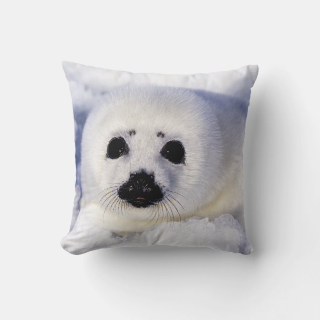 Coussin Bécasseau glacé du golfe du Saint-Laurent, (Recto)