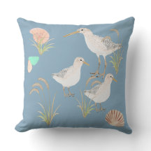 Bécasseaux De Bécasseaux En Sable