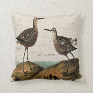Coussin Bécasseaux vintages d'échasse