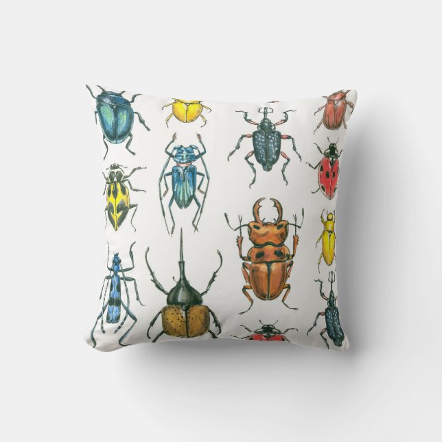 Coussin Beetles (Recto)