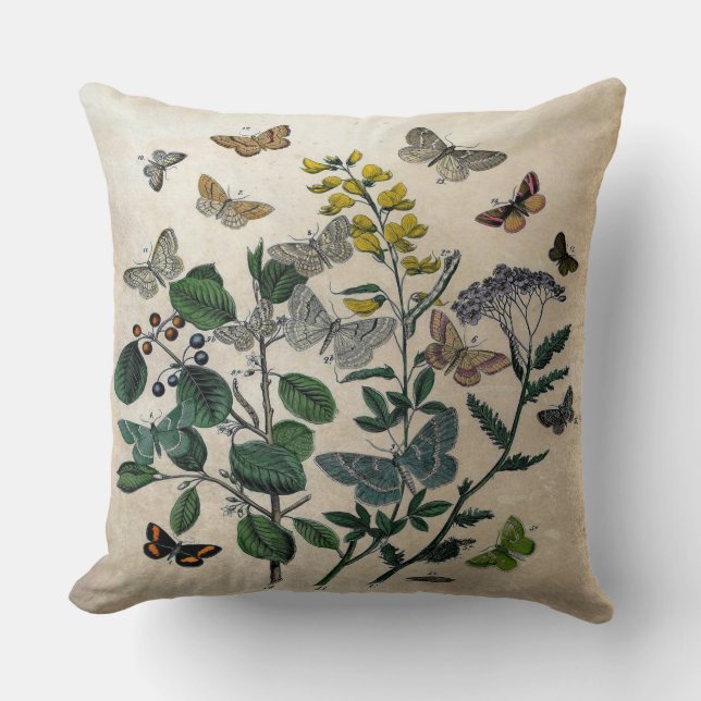 Coussin Beige rustique de papillons floraux botaniques (Recto)