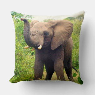 Coussin Bel Éléphant d'Afrique & Plantes Tropicales