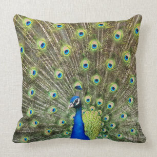 Coussin Bel oiseau paon