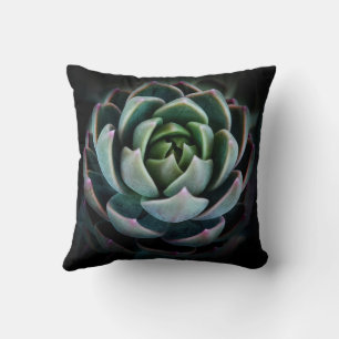 Coussin Belle Fleur Succulente Photo