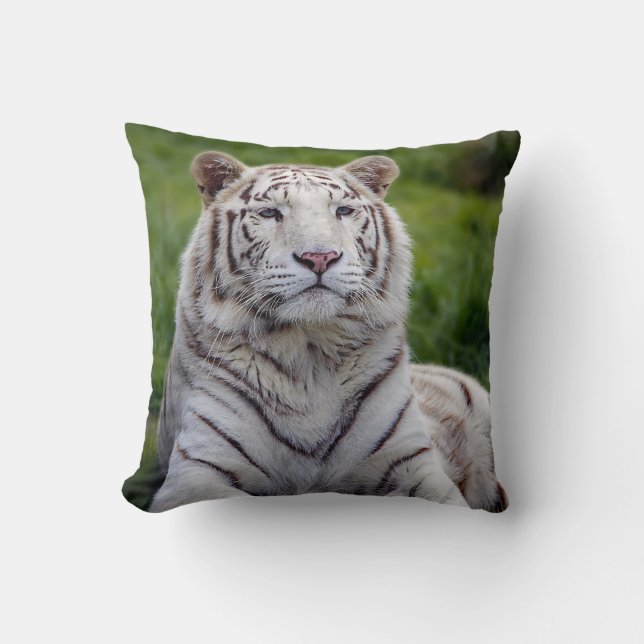 Coussin Belle photo de tigre blanc (Recto)