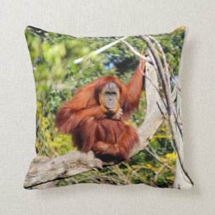 Coussin Belle photo d'orang-outan