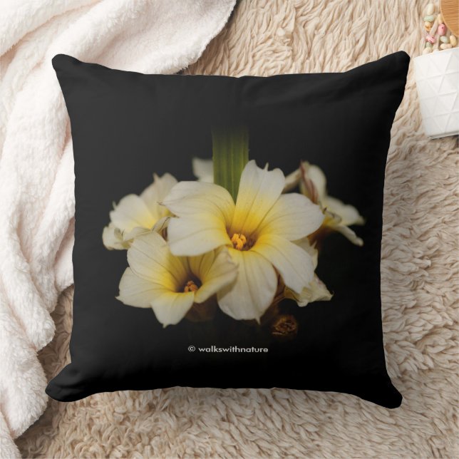 Coussin Belles fleurs satinées sur noir (Couverture)