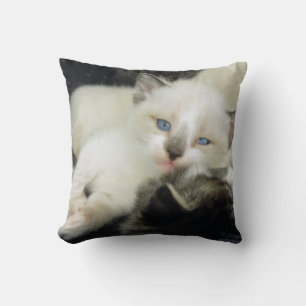 Coussin Benita le chaton
