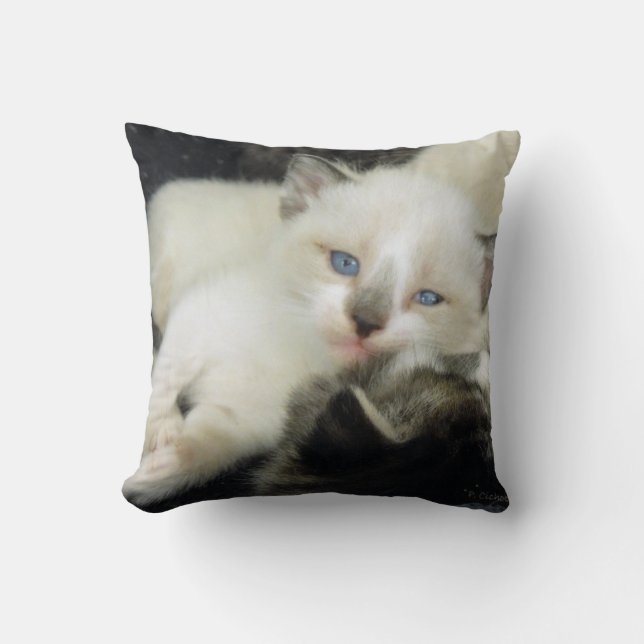 Coussin Benita le chaton (Recto)