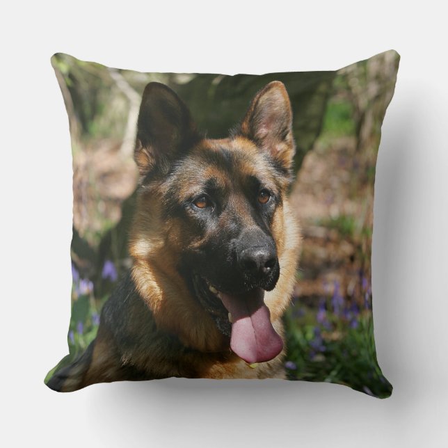 Coussin Berger allemand (Recto)