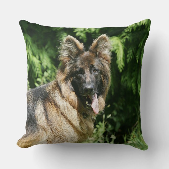 Coussin Berger allemand aux cheveux longs Brown 1 (Recto)