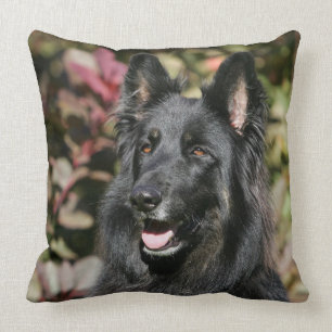 Coussin Berger allemand aux cheveux longs noir