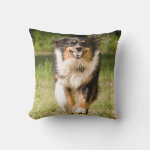 Coussin Berger Australien Jouant Avec Balle
