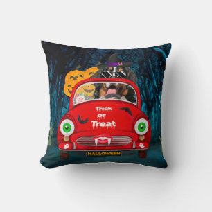 Coussin Bernois Mountain Dog voiture voiture effrayant Hal