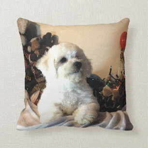 Coussin Bichon Frise