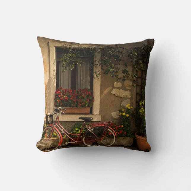 COUSSIN BICYCLETTE APPUYÉE SUR LA MAISON (Recto)