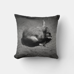 Coussin Bilby Australien, Connu Sous Le Nom De Lapin De Pâ