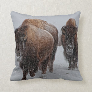 Coussin Bison de Yellowstone