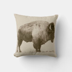 Coussin Bison des plaines