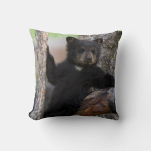 Coussin Black Bears Cub Lounge