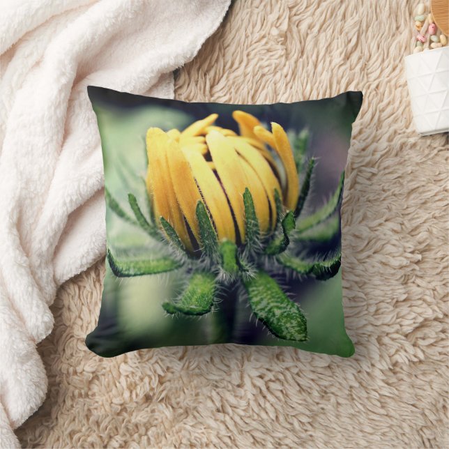 Coussin Black Eyed Susan Éveil (Couverture)