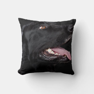 Coussin Black Lab Animaux de compagnie Chien Lancer oreill