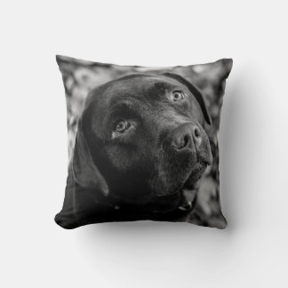 Coussin Black Lab - Coeur d'un chien
