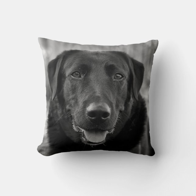Coussin Black Labrador Photo Pet Dog  (Recto)