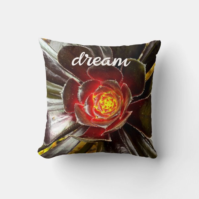 Coussin Black Orange Cactus Photo Dream Citation Script Bo (Recto)