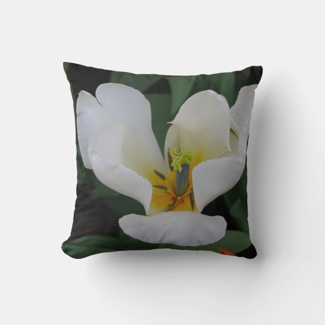 coussin blanc clair (Recto)