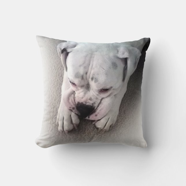 Coussin blanc de boxeur (Recto)