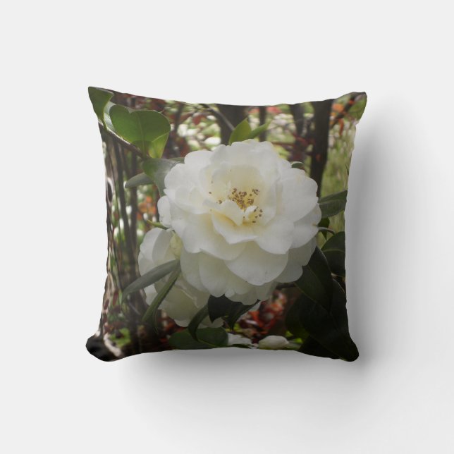 Coussin blanc de camélia (Recto)