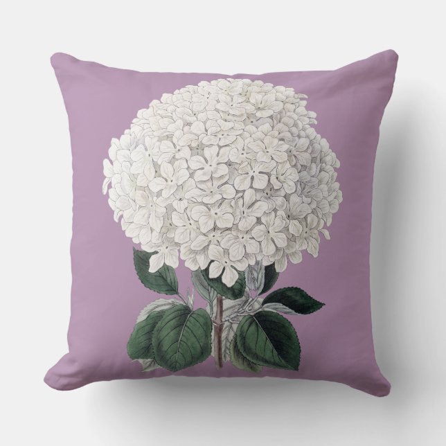 Coussin blanc d'hortensia (Recto)