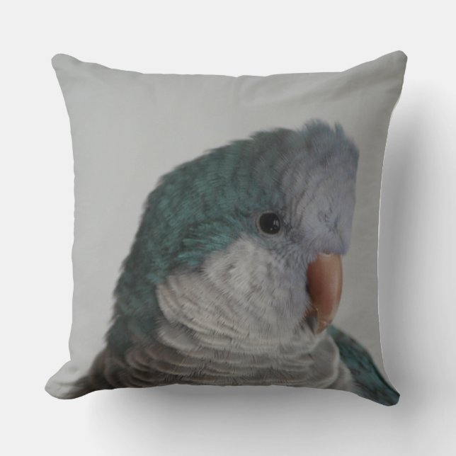 Coussin bleu de perroquet de quaker (Recto)